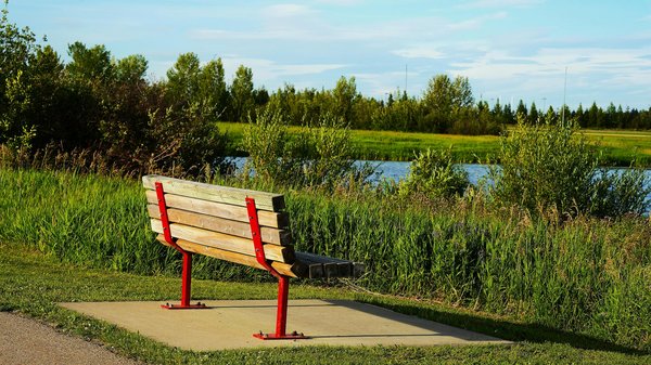 How Do UK Pollution Levels Affect Skin Health, and What Can You Do About It?